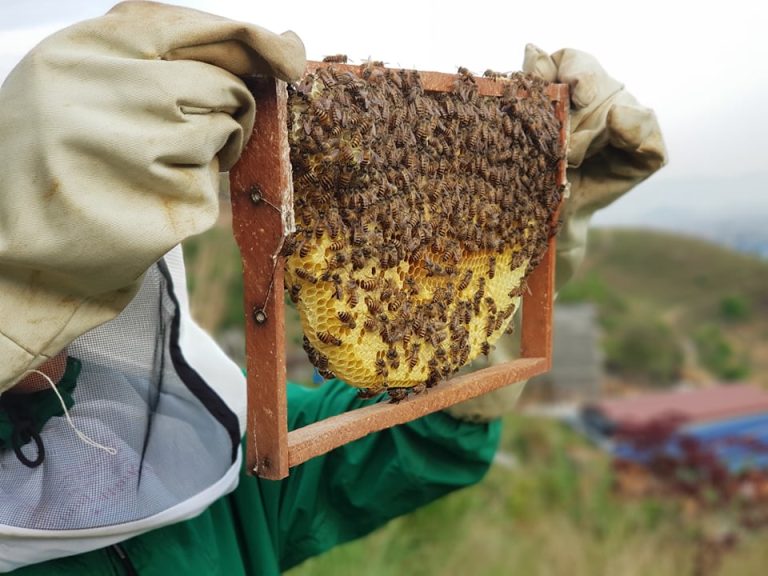 himalayan-beekeepers-page-bg