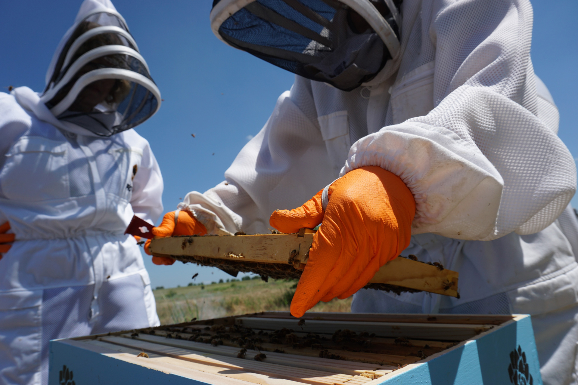 himalayan-beekeepers-page-bg